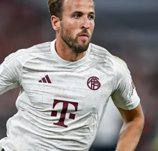 进入半决赛 进入半决赛